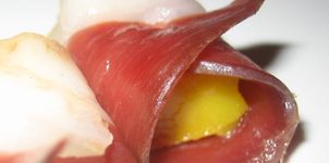Rollitos de foie y jamÃ³n de pato